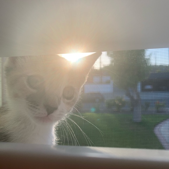 Meet your Posher, Mai - Picture 1 of 5